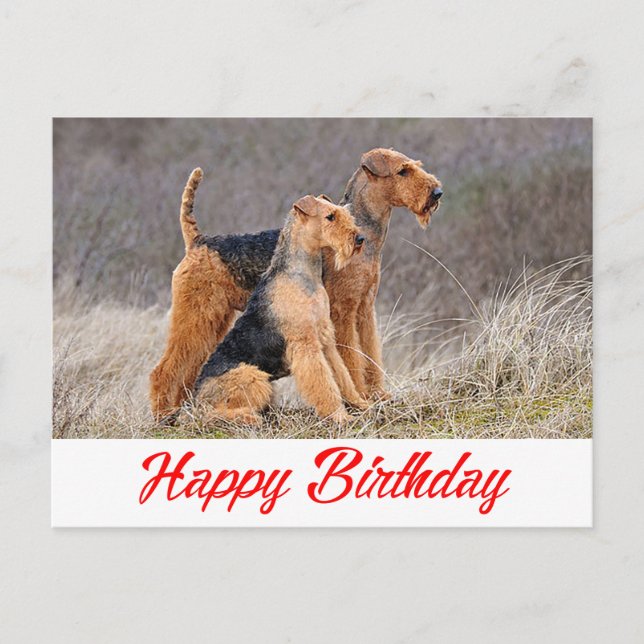 Happy Birthday Airedale Terrier Puppy Dog Red Postcard (Front)
