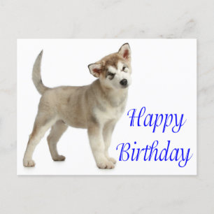 Happy Birthday Alaskan Malamute Puppy Dog  Card