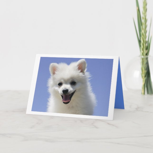 Happy Birthday American Eskimo Puppy Dog Card (Front)