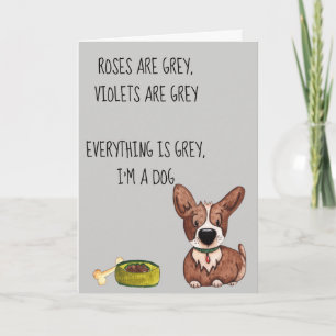 Happy Birthday Anniversary from the Dog Humour Card