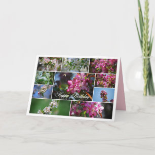 Happy Birthday Apple Blossoms and Honey Bees Card