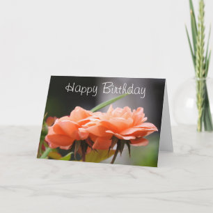Happy Birthday Apricot Roses Card
