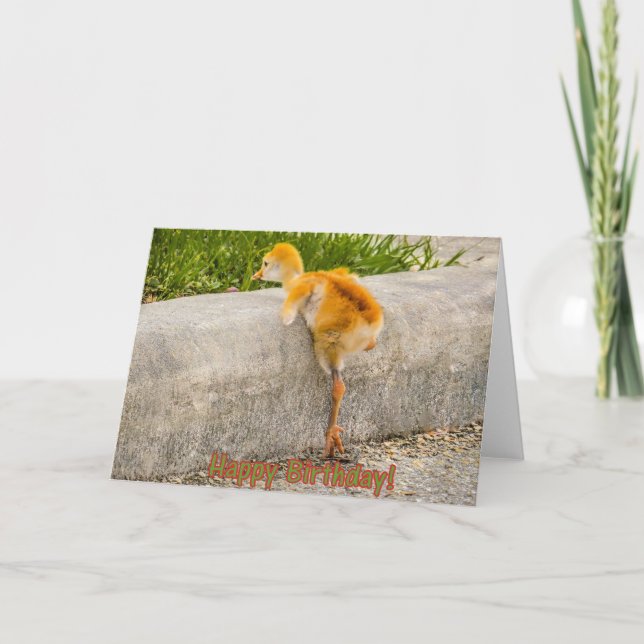 HAPPY BIRTHDAY Baby Bird Card (Front)