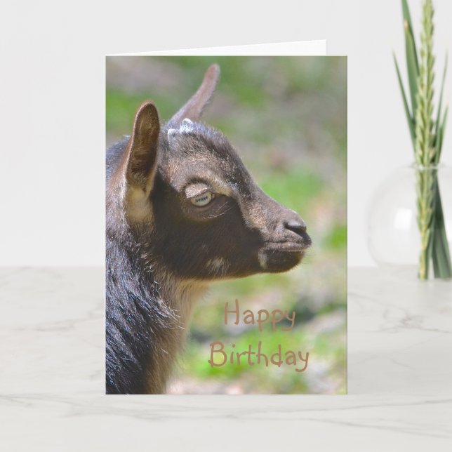 Happy Birthday Baby Goat Card (Front)