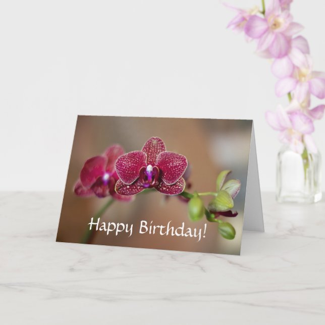 Happy Birthday Beautiful Red Orchid Card (Orchid)