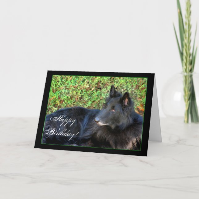 Happy Birthday Belgian Shepherd greeting card (Front)