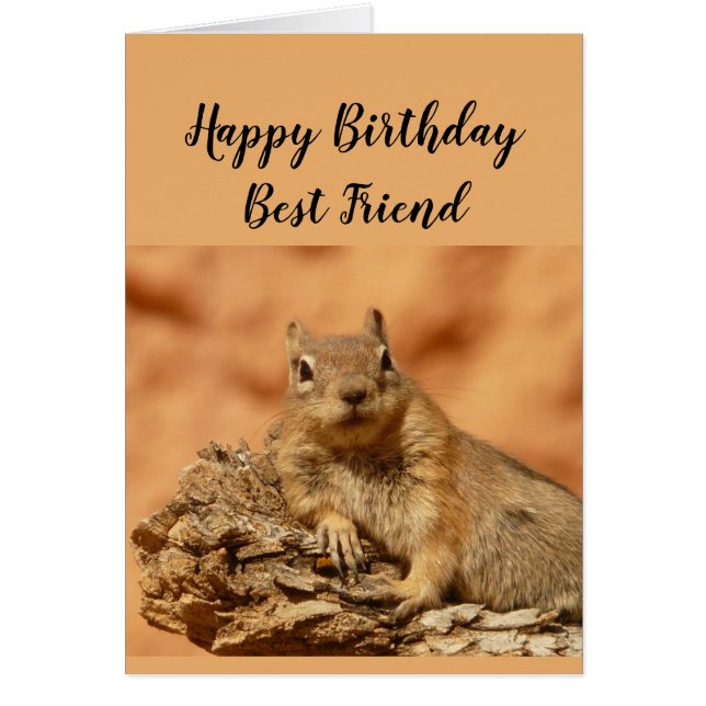Happy Birthday Best Friend Funny Squirrel Relax (Front)