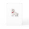 Happy Birthday Bichon Frise Puppy Dog Red & White