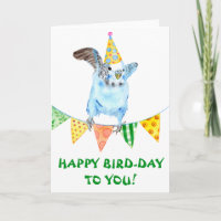Happy Birthday Bird Parakeet