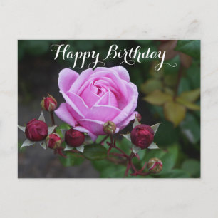 Happy Birthday Bishop’s Castle Rose #1 Postcard