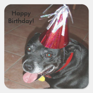 Happy Birthday Black Dog with Red Hat Square Sticker
