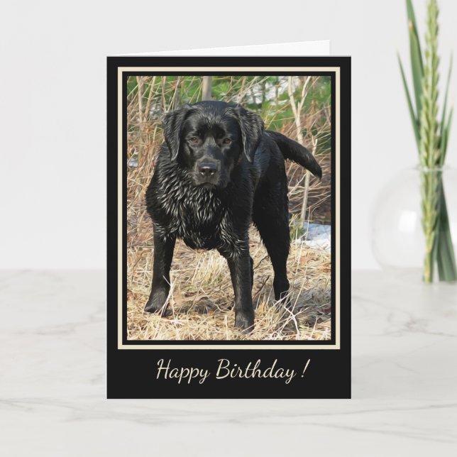 Happy Birthday Black Labrador - Duck Hunting Dog Card (Front)