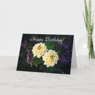 Happy Birthday!, Blank Card