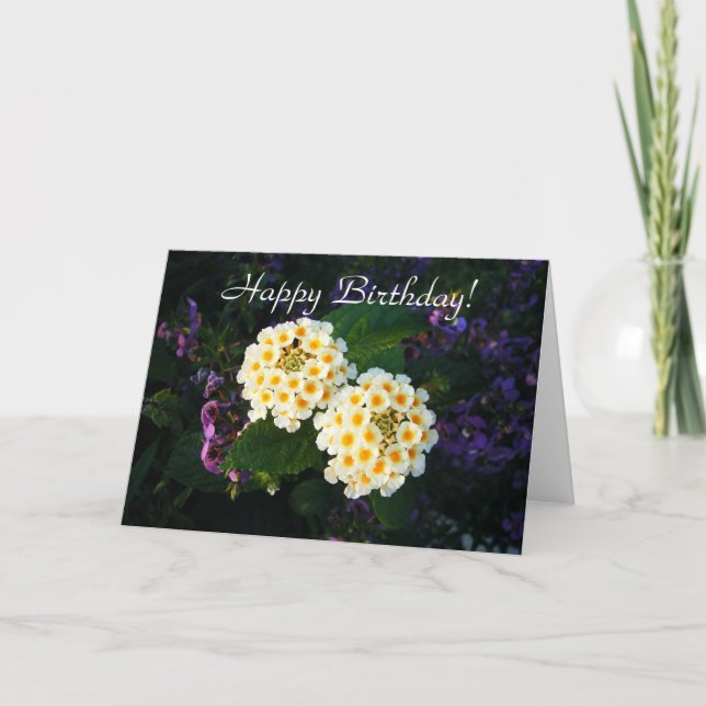 Happy Birthday!, Blank Card (Front)