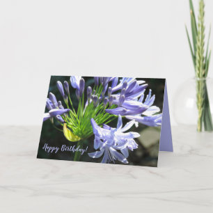 Happy Birthday Blue Lily of the Nile Card