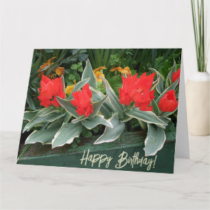 Happy Birthday blush pink carnation pretty floral Card