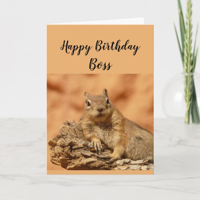 Happy Birthday Boss Funny Squirrel Relax Card (Front)