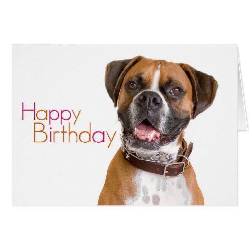 Happy Birthday Boxer Cards | Zazzle