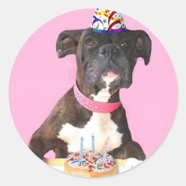 Happy Birthday Boxer dog stickers (Front)