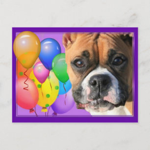 Happy Birthday Boxer Postcard