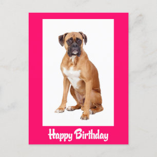Happy Birthday Boxer Puppy Dog  Postcard