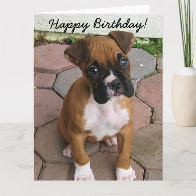 Happy Birthday Boxer puppy greeting card (Front)