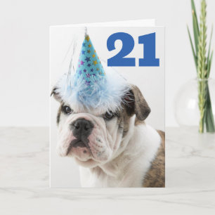 Happy Birthday British Bulldog Puppy Card