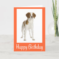 Happy Birthday Brittany Spaniel Puppy Dog Card