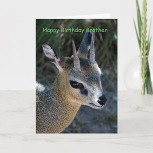 Happy Birthday Brother Card