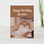 Happy Birthday Brother Celebrate Funny Cat Card<br><div class="desc">Happy Birthday Brother  Celebrate it any way you want with a cute relaxing Cat Funny animal birthday greeting to customize</div>