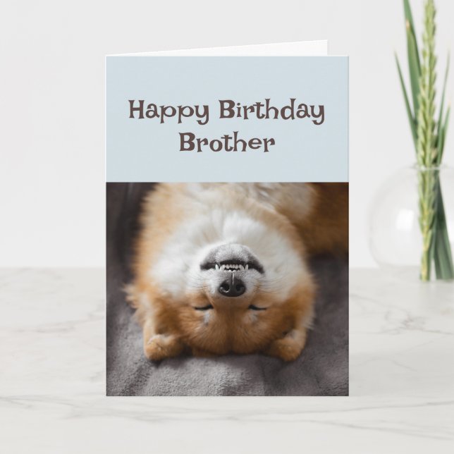Happy Birthday Brother Funny Dog Party Time! Card (Front)