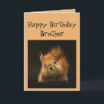Happy Birthday Brother Funny  Red Squirrel animal  Card<br><div class="desc">Funny Birthday card for your Brother  You're aging like a might oak watch out for falling nuts</div>