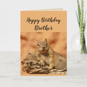 Happy Birthday Brother Funny Squirrel Humour Card