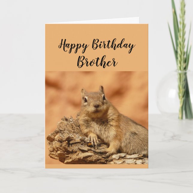 Happy Birthday Brother Funny Squirrel Relax Card (Front)