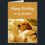 Happy Birthday Brother Real Age Humor Fun Dog<br><div class="desc">Happy Birthday Brother Friend Funny Animals.  Just remember I know your real age with cute shocked looking dog</div>