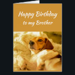 Happy Birthday Brother Real Age Humour Fun Dog<br><div class="desc">Happy Birthday Brother Friend Funny Animals. Just remember I know your real age with cute shocked looking dog</div>