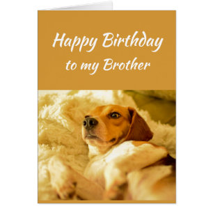 Happy Birthday Brother Real Age Humour Fun Dog