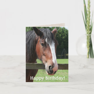 Happy Birthday Brown Horse Equestrian Riding Card