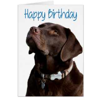 The Happy Labrador Cards, Photocards, Invitations & More
