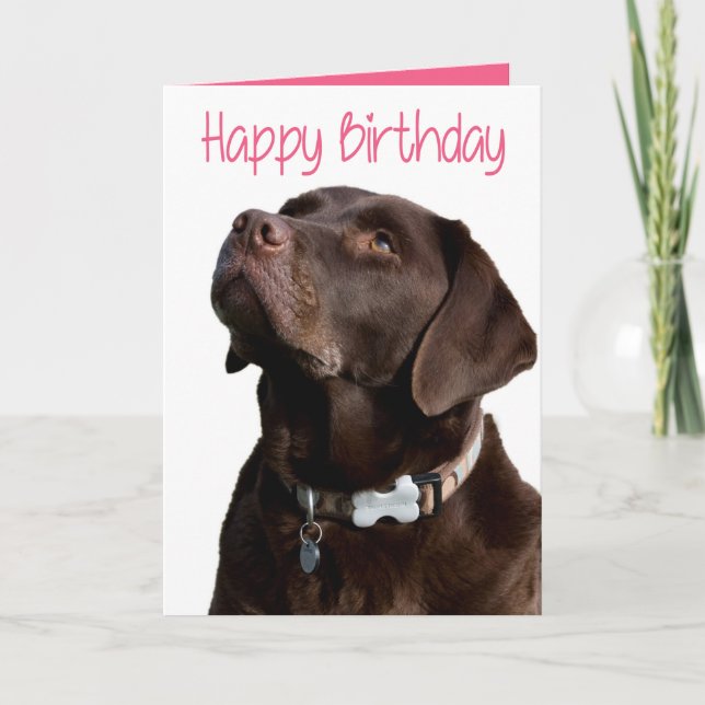 Happy Birthday Brown Labrador Retriever Puppy Pink Card (Front)
