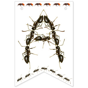 Happy Birthday Bug Themed Banner