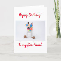 Happy Birthday Bull Terrier with Coconuts
