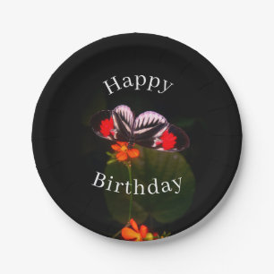 Happy Birthday Butterfly  Paper Plate