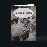 Happy Birthday! Card<br><div class="desc">Customize this birthday card for a hunter or outdoor person you know!</div>