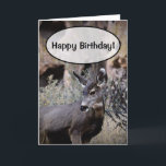 Happy Birthday! Card<br><div class="desc">Customize this birthday card for a hunter or outdoor person you know!</div>