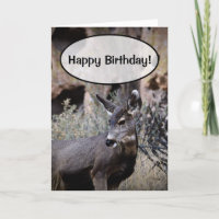 Happy Birthday!