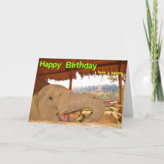 Happy Birthday Card