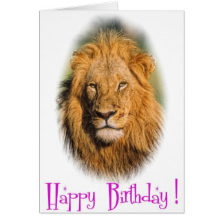 Lion Happy Birthday Cards, Photocards, Invitations & More