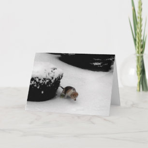 HAPPY BIRTHDAY CARD