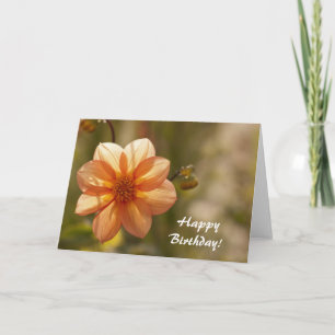 Happy Birthday Card